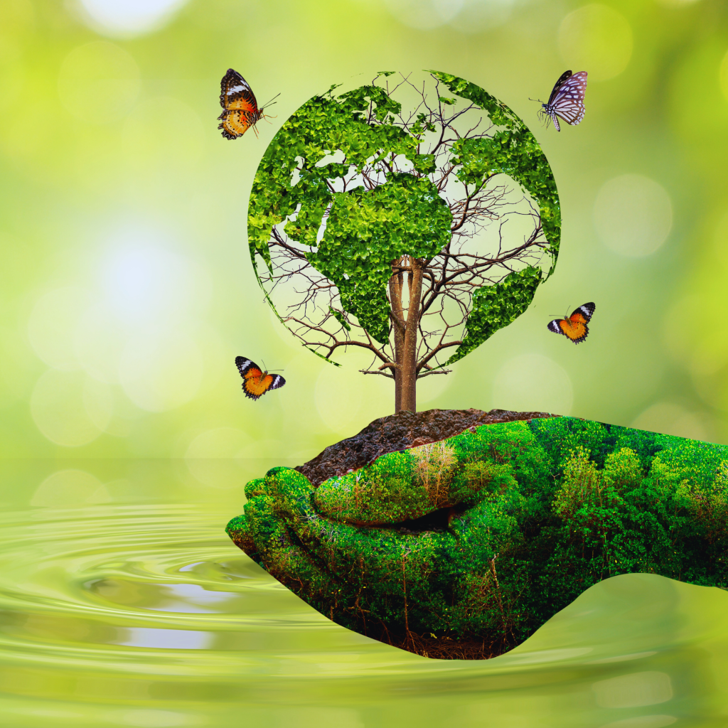 Dia Mundial do Meio Ambiente: Importância e Reflexão